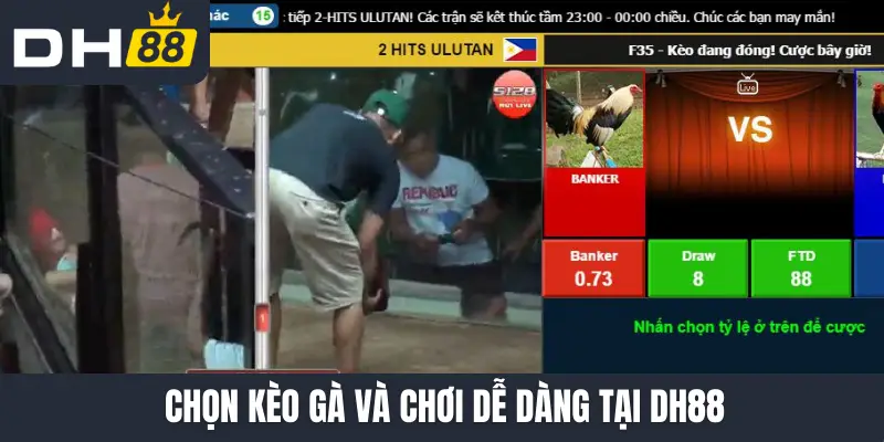 Chọn kèo gà và chơi dễ dàng tại DH88