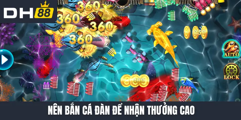 Nên bắn cá đàn để nhận thưởng cao